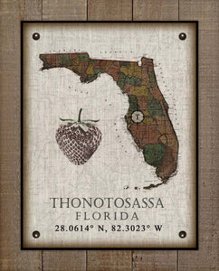 Thonotosassa Florida Vintage Design Board Mounted Canvas Print