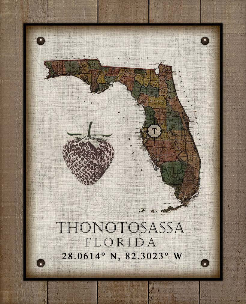 Thonotosassa Florida Vintage Design Board Mounted Canvas Print