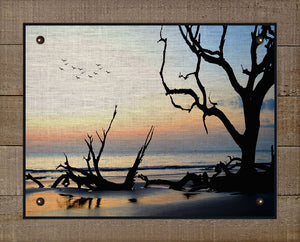 Driftwood Beach At Dawn - Board Mounted Canvas Print