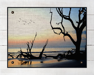 Driftwood Beach At Dawn - Board Mounted Canvas Print