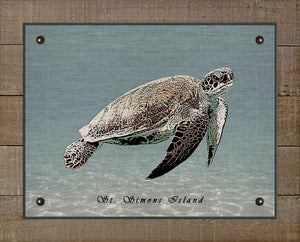 St Simons Sea Turtle - Board Mounted Canvas Print
