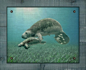 Manatee And Baby - Board Mounted Canvas Print