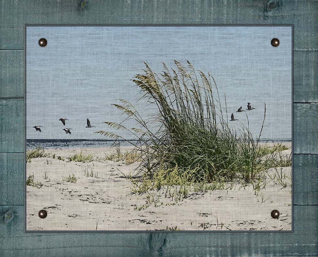 Sea Oats And Pelicans - Board Mounted Canvas Print