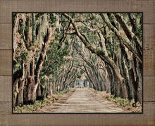 Load image into Gallery viewer, Live Oaks Canopy, -Belfair Plantation Bluffton SC - On 100% Linen

