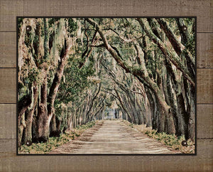 Live Oaks Canopy, -Belfair Plantation Bluffton SC - On 100% Linen