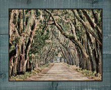 Load image into Gallery viewer, Live Oaks Canopy, -Belfair Plantation Bluffton SC - On 100% Linen
