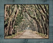 Load image into Gallery viewer, Live Oaks Canopy, -Belfair Plantation Bluffton SC - On 100% Linen
