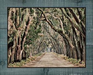 Live Oaks Canopy, -Belfair Plantation Bluffton SC - On 100% Linen