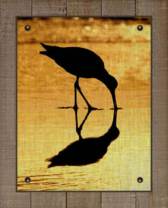 Shore Bird At Dawn (Dowitcher) - Board Mounted Canvas Print
