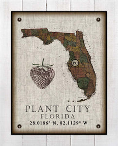 Plant City (3) Florida Vintage Design On 100% Natural Linen