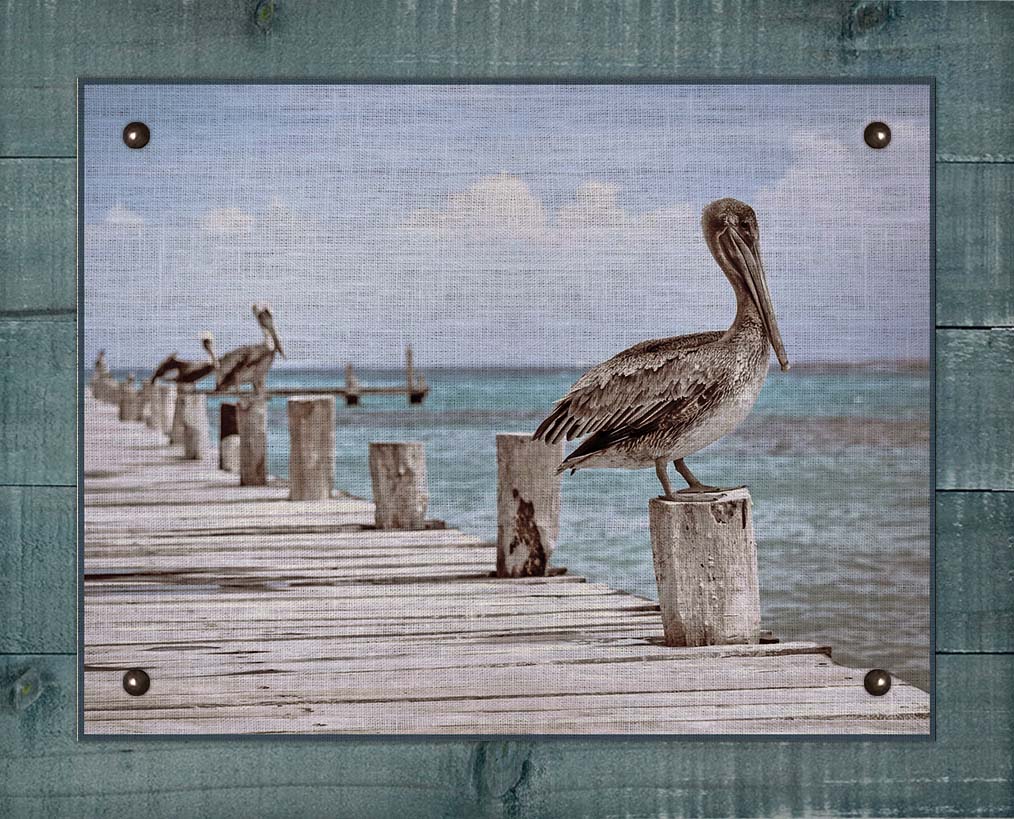 Peliacans 1 (Horizontal)  - Board Mounted Canvas Print