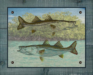 Snook 2 - On 100% Natural Linen