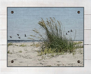 Sea Oats And Pelicans - Board Mounted Canvas Print