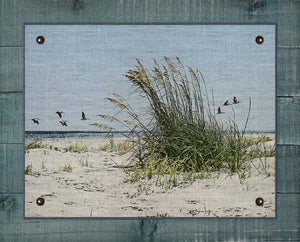 Sea Oats And Pelicans - Board Mounted Canvas Print