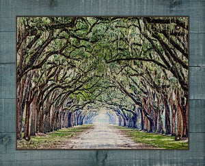 Live Oak and Spanish Moss Canopy Road - On 100% Natural Linen